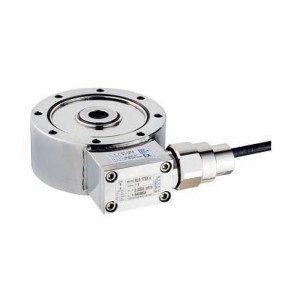 Pan Cake Load Cell